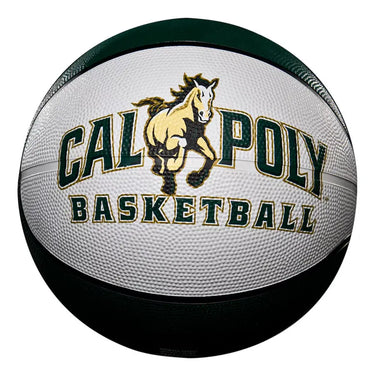 Custom Basketballs | Camps or Schools HoopsKing